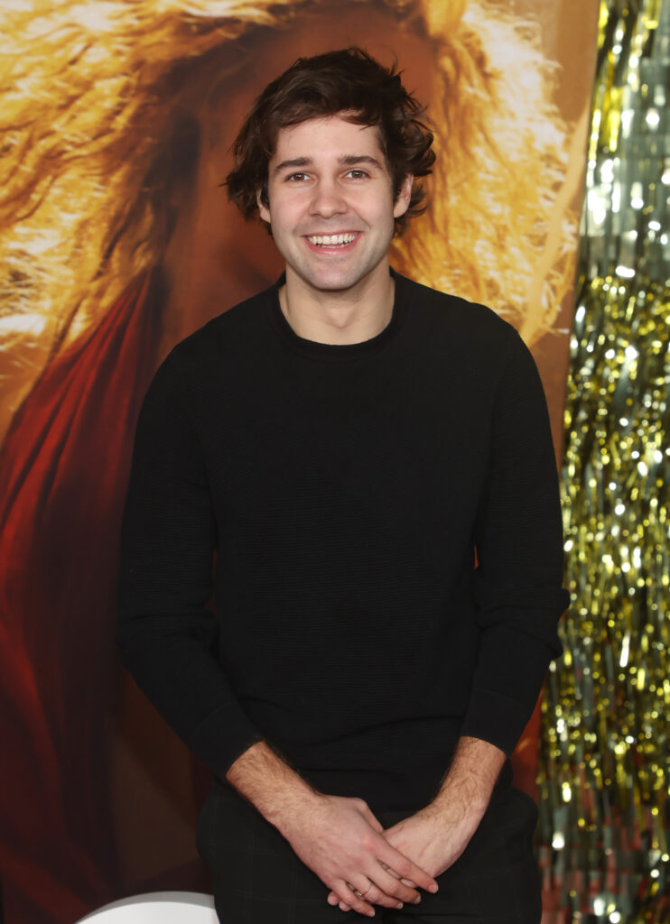 World premiere of 'Babylon' at the Academy Museum of Motion Pictures.

-PICTURED: David Dobrik
-LOCATION: Los Angeles USA
-DATE: 15 Dec 2022
-CREDIT: Faye`s Vision/Cover Images/INSTARimages.com (Los Angeles - 2022-12-15, Faye`s Vision/Cover Images/INSTARimages.com / ipa-agency.net) p.s. la foto e' utilizzabile nel rispetto del contesto in cui e' stata scattata, e senza intento diffamatorio del decoro delle persone rappresentate